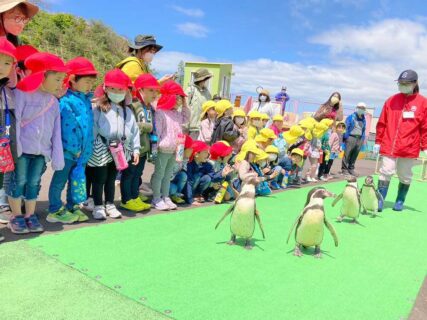 水族館に行ってきました～by年中