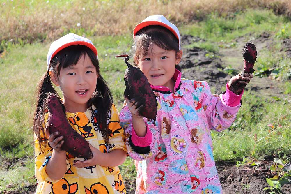 幼稚園 11月