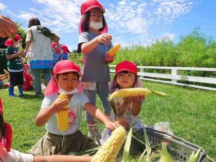 幼稚園 8月の写真を掲載しました。