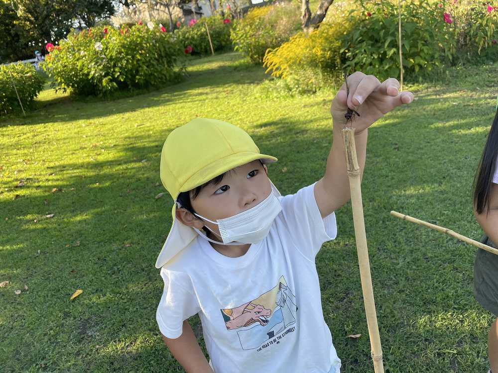 ひまわり9月