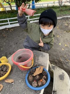 ひまわり 11月の写真を掲載しました。