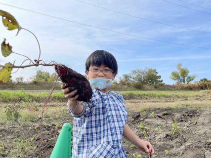 幼稚園 11月の写真を掲載しました。