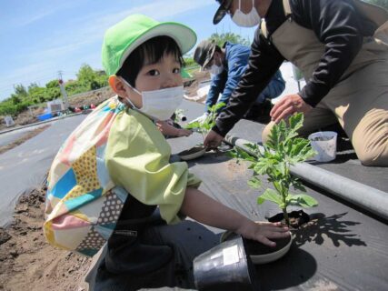 いちごぐみ 5月の写真を掲載しました。