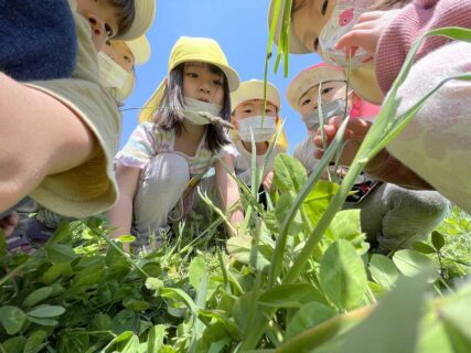 ぽかぽかいい天気🌞