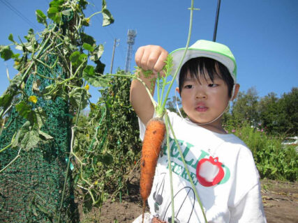 いちごぐみ 9月の写真を掲載しました。