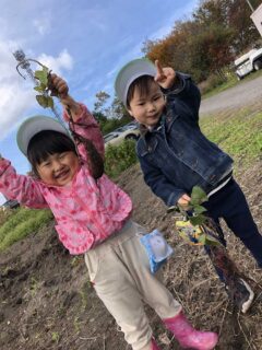 いちごぐみ 10月の写真を掲載しました。