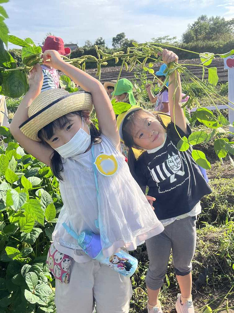 ひまわり8月