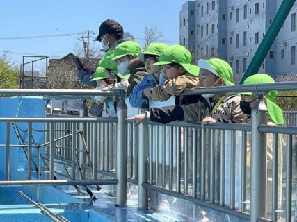 楽しかったよ水族館(年長)